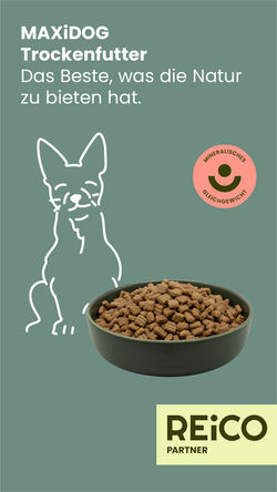 trockenfutter hund reico