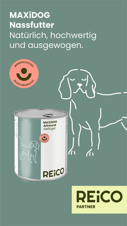 nass hund reico