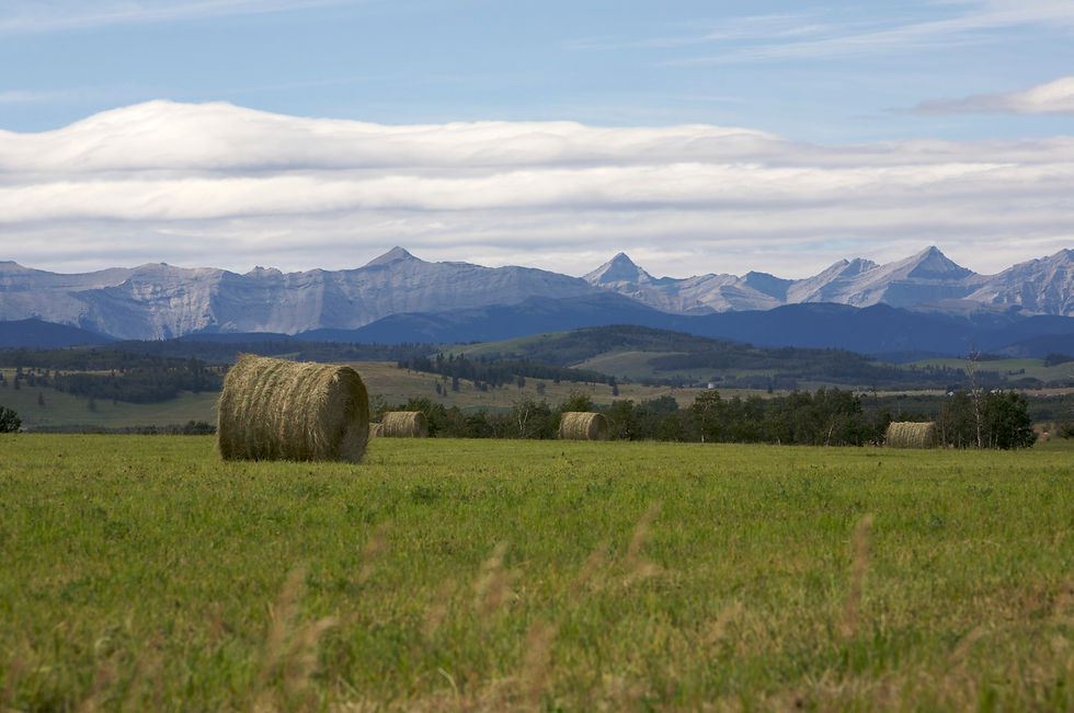 Mountains, foothills and prairie farmland.