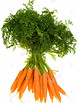botte de carottes