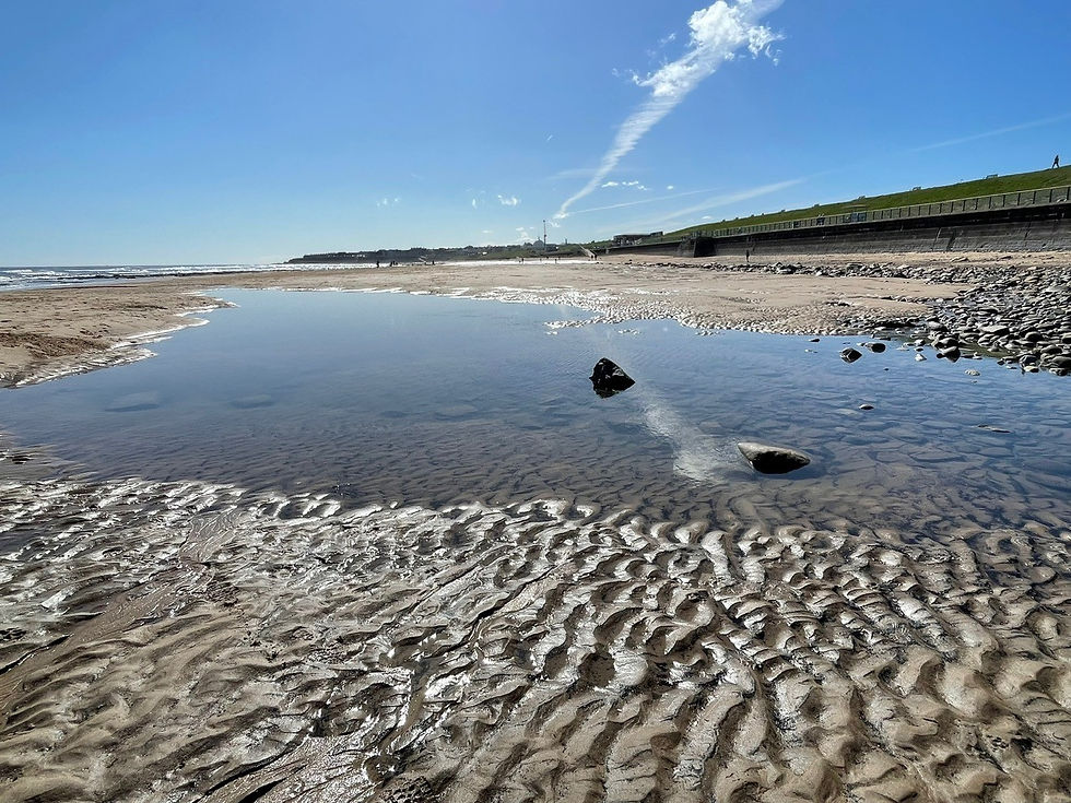 Thumbnail: Seaside Supervision - 25th August 2026 9.30am Seaton Sluice