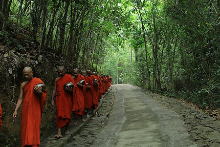 banner - walking meditation 2.jpg