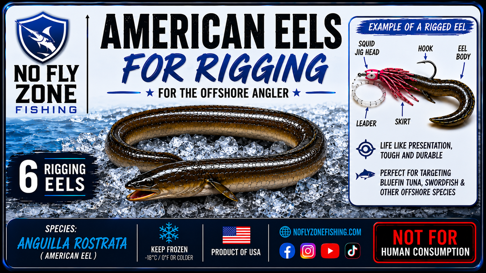Frozen Rigging Eels Dozen 13-17” Bait