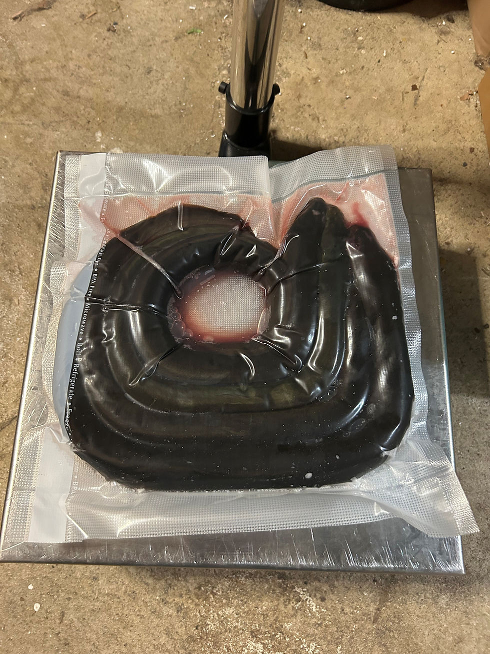 Thumbnail: Frozen American Eel Dozen *Selects* 18-20"