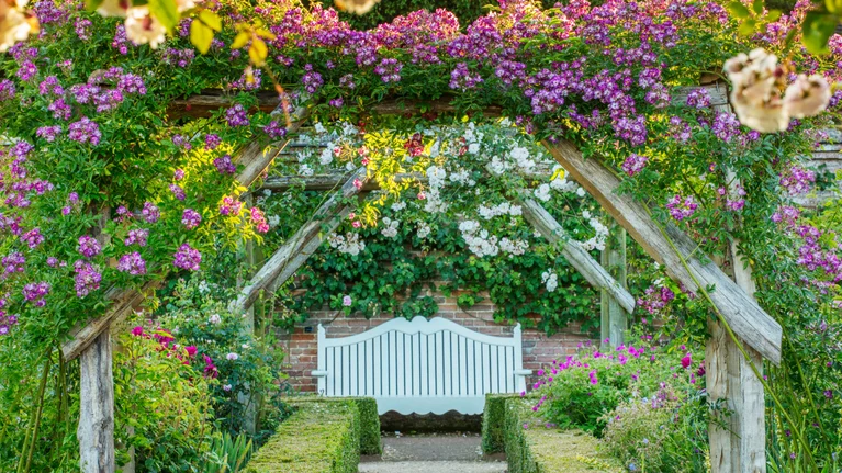 garden bench with flowers