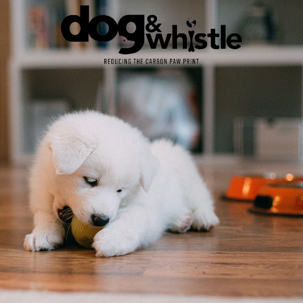 Dog and Whistle upcycled dog food social media post