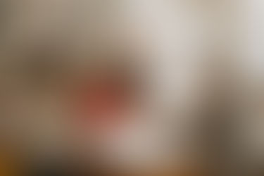 ¿Qué tan relevante es la PAES para definir la futura trayectoria académica en la universidad?