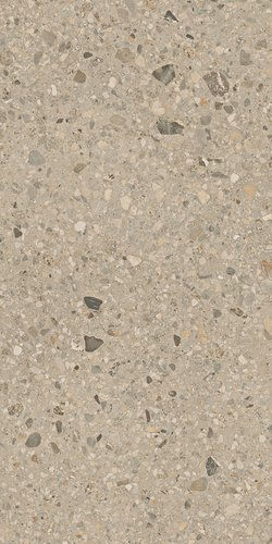 The image shows a 300x600 tile in a light beige earthy tone with a terrazzo styling 
