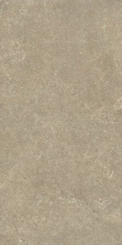The image shows a 300x600 tile in a light beige earthy tone 
