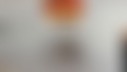 DIY $35 Fringe Ceiling Fan Cover