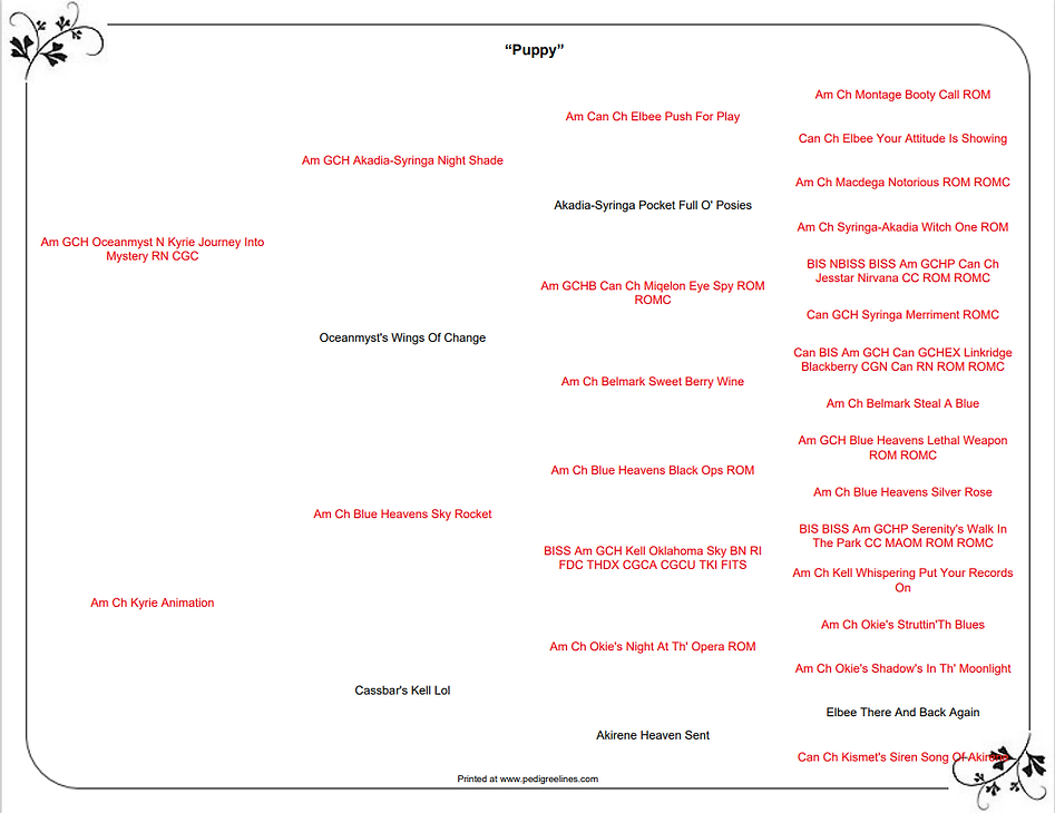 Loki x Pepper Pedigree.PNG