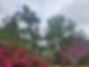 20240303_103739.jpg