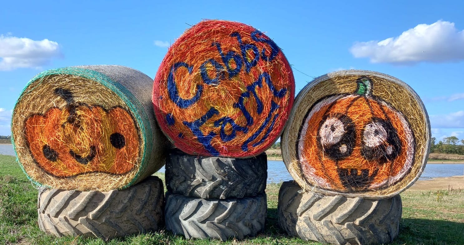 Pumpkin picking at Cobbs Farm Pumpkins