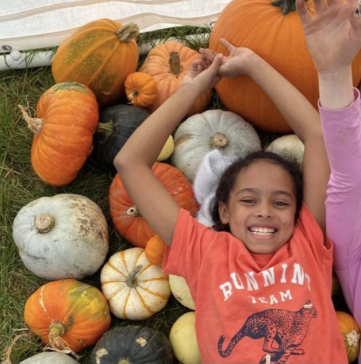 Pumpkin picking at Cobbs Farm Pumpkins
