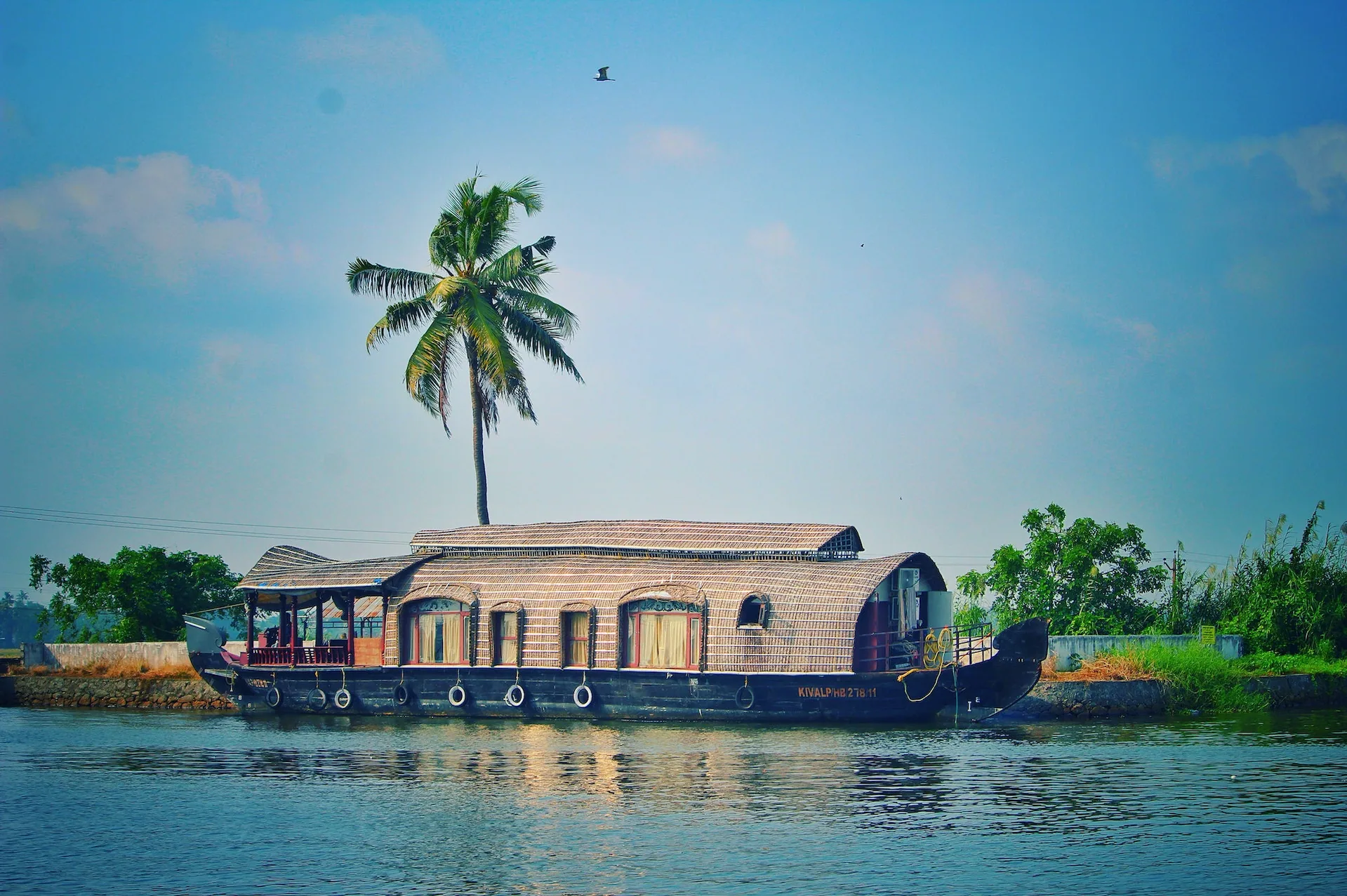 A house boat in water near coconut tree