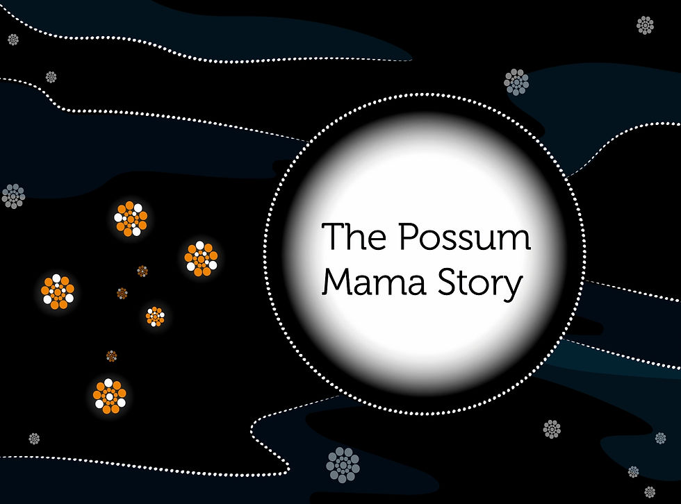 The Possum Mama Story Video