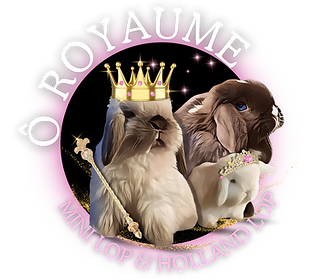 Logo O Royaume 2.png