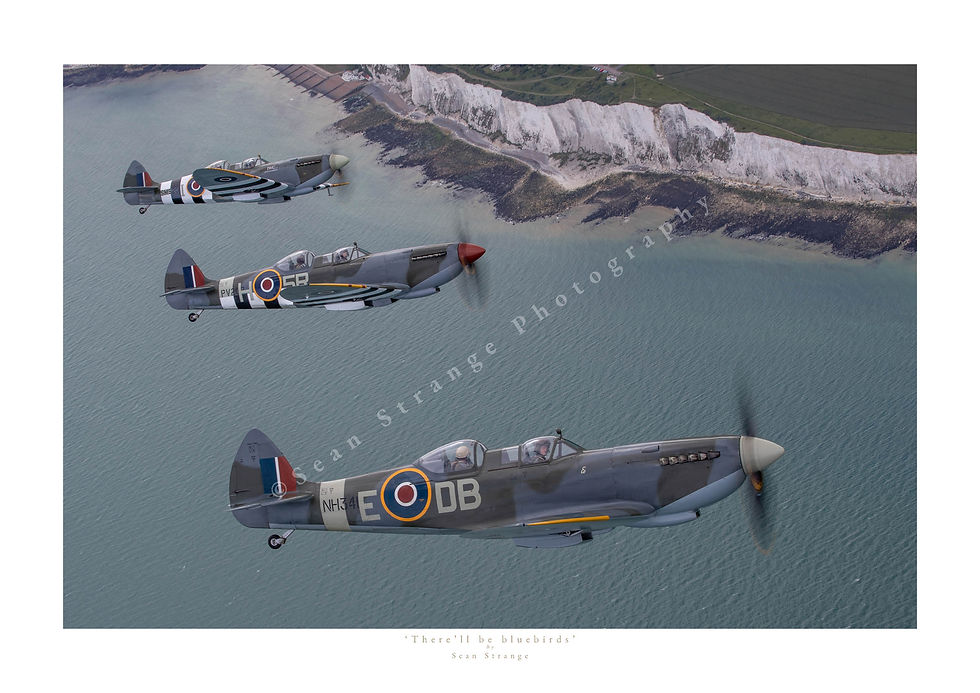 'There'll be Bluebirds'