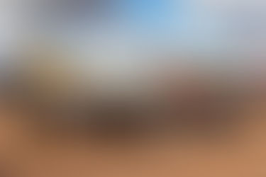 Volunteering at the Royal International Air Tattoo 2025