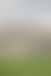 The Jane Austen Festival