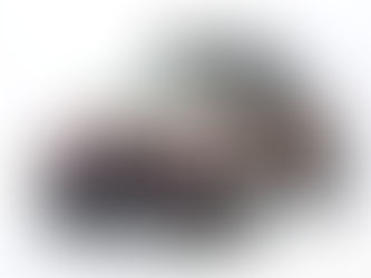 Matte metallic SUV on white background with rugged tires, roof rack labeled "NAISU," and sleek design. Sporty and adventurous vibe.