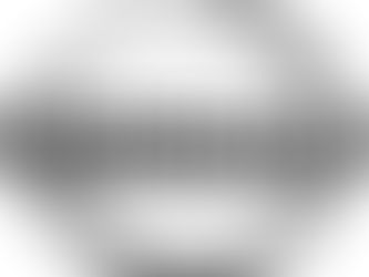 Silver Nissan logo with bold black text in the center, encircled by a metallic ring. The background is white, creating a clean, professional look.