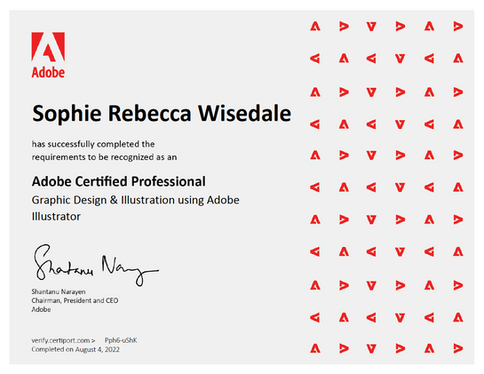 Adobe Certified Professional in Graphic Design & Illustration using Adobe Illustrator