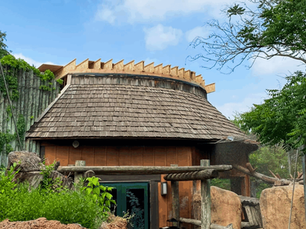 EBR Construction Enhances the Small Cat Center at the Oklahoma City Zoo