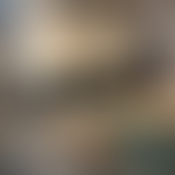 Rustic to Refined: A Modern Kitchen Renovation