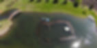 WaterGatorimage.jpg