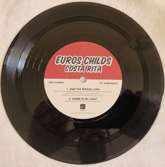 תמונה ממוזערת: Euros Childs - Costa Rita (7") (Wichita)