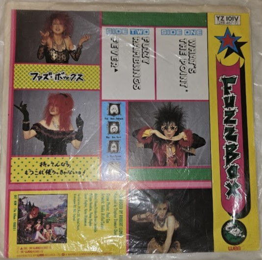 Pikkukuva: We've Got A Fuzzbox And We're Gonna Use It - What's The Point (7", Ltd, Red) (WE