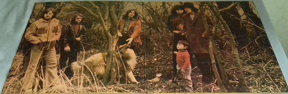 Miniature : Fairport Convention - Full House (LP, Album, Pin) (Island Records, Island Record