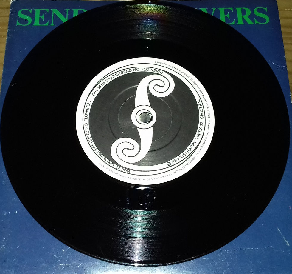 Miniature : Send No Flowers - Send No Flowers (7") (Praxis (3))