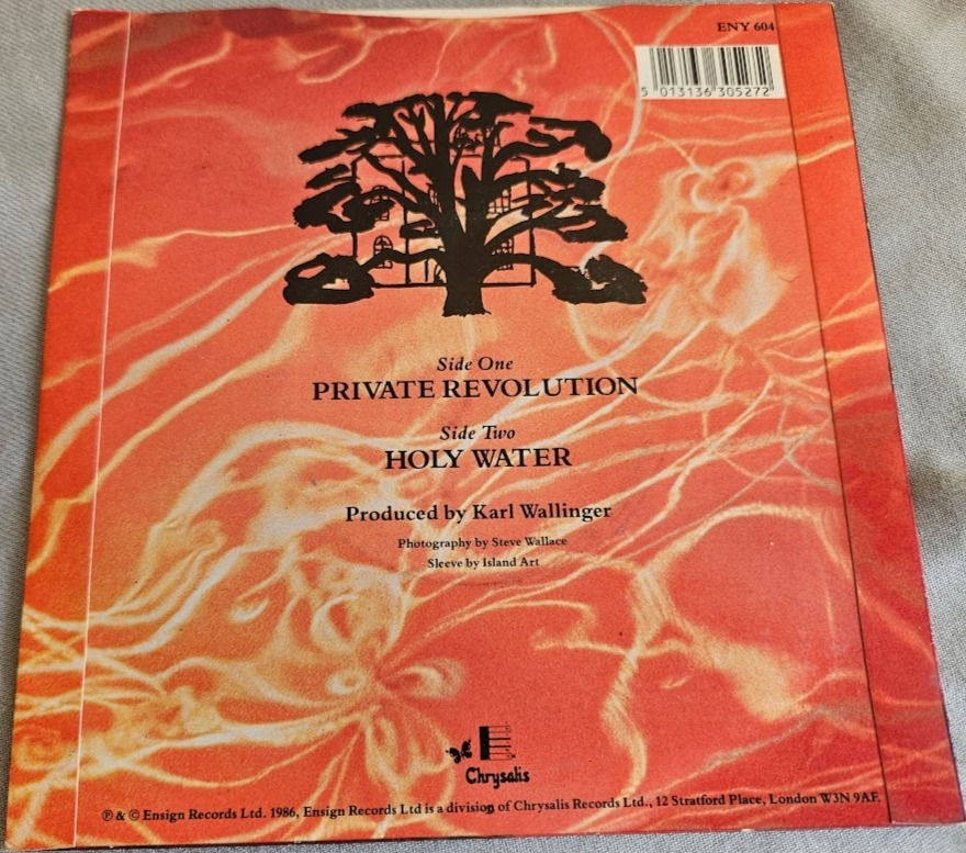 Miniatura: World Party - Private Revolution (7", Single) (Ensign, Chrysalis)