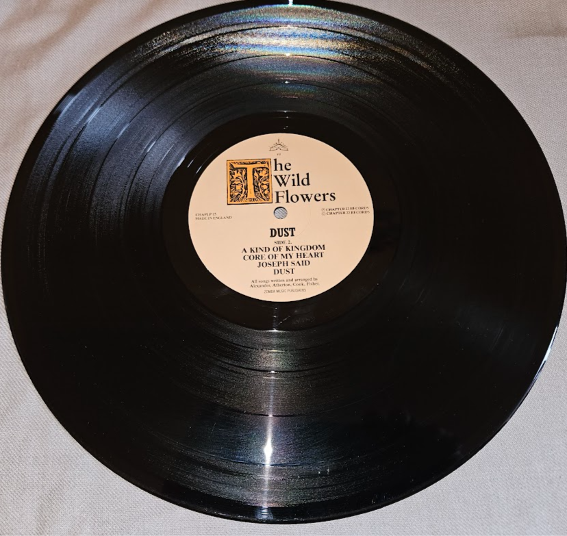 Pikkukuva: The Wild Flowers - Dust (12", MiniAlbum) (Chapter 22)