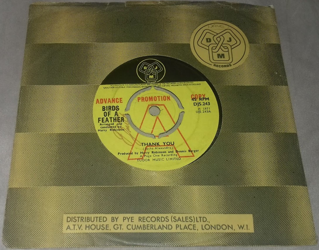 Birds Of A Feather - Thank You / Baby Don't Bring Me Down (7", Single, Promo