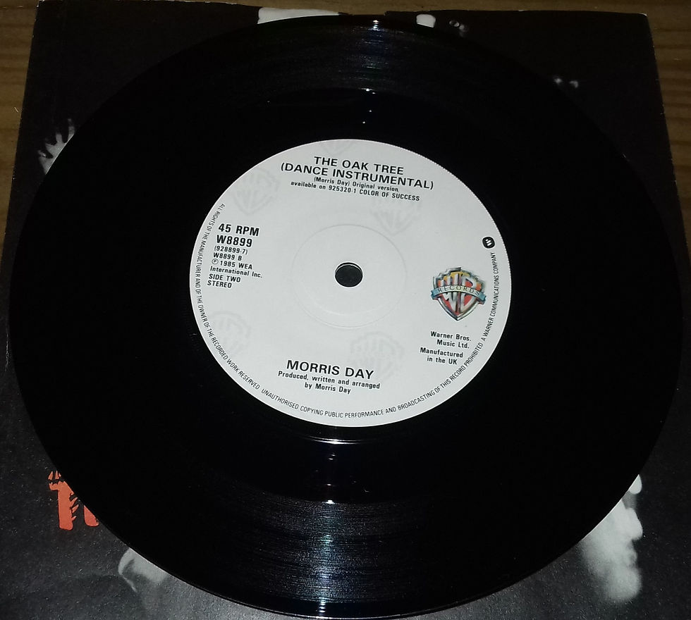 ภาพขนาดย่อ: Morris Day - The Oak Tree (7") (Warner Bros. Records)