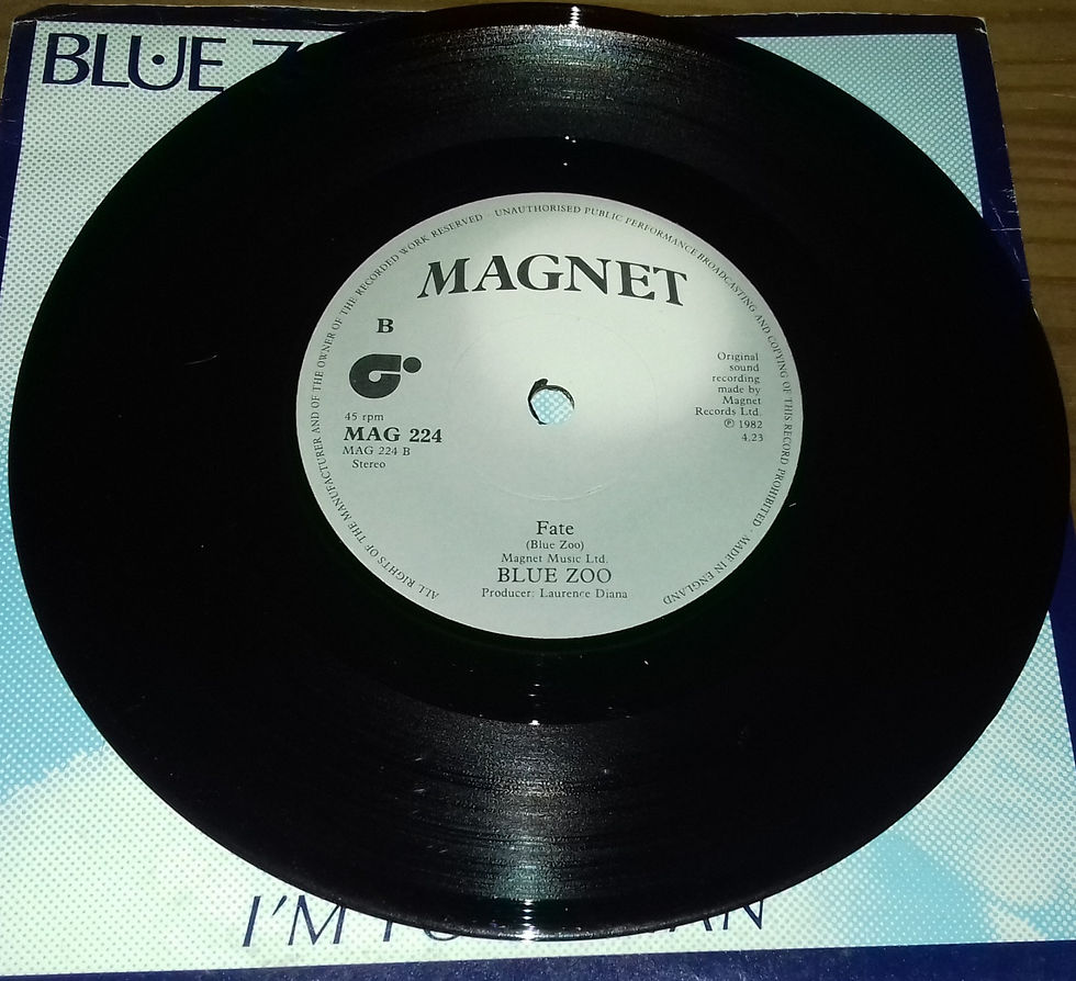 Miniatura: Blue Zoo - I'm Your Man (7", Single) (Magnet (2))