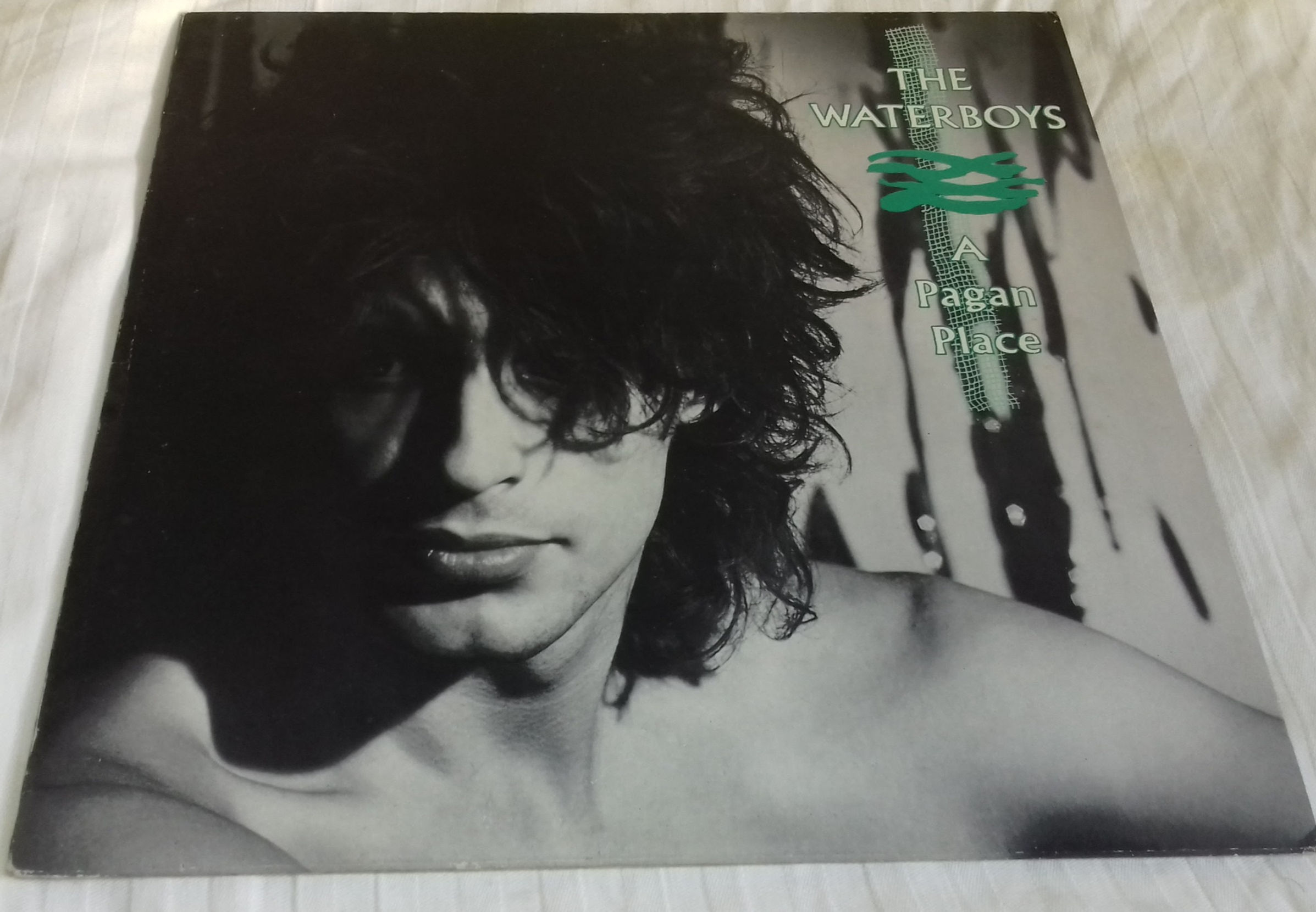 The Waterboys - A Pagan Place (LP, Album, RE, EMI) (Ensign, Chrysalis)