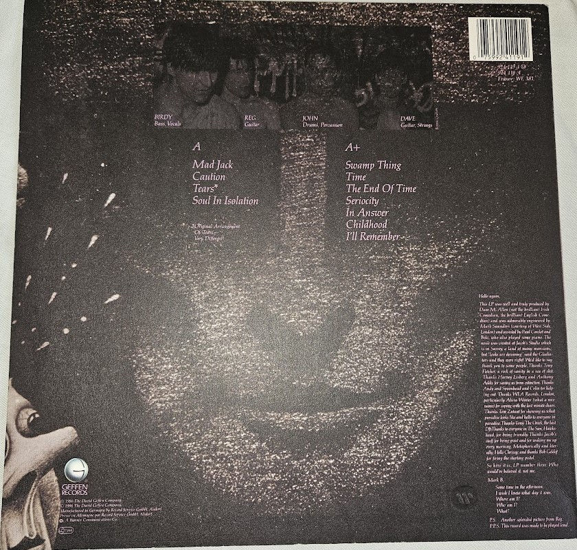 Pikkukuva: The Chameleons - Strange Times (LP, Album, Pin) (Geffen Records)