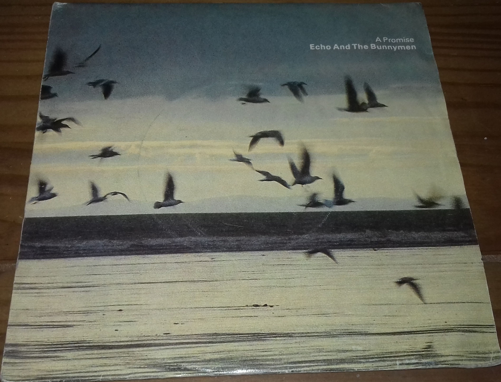 Echo And The Bunnymen* - A Promise (7", Single) (Korova, Korova)