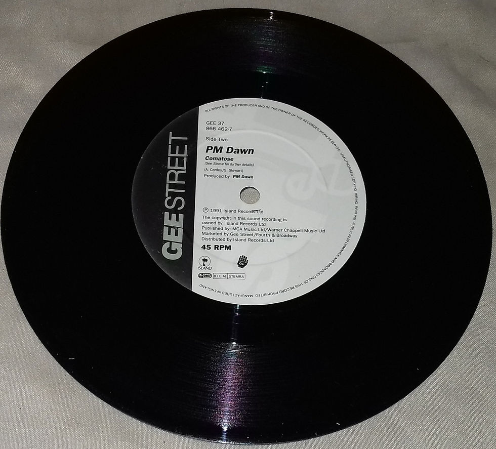 Thumbnail: P.M. Dawn - Reality Used To Be A Friend Of Mine (7", Single) (Island Records, G