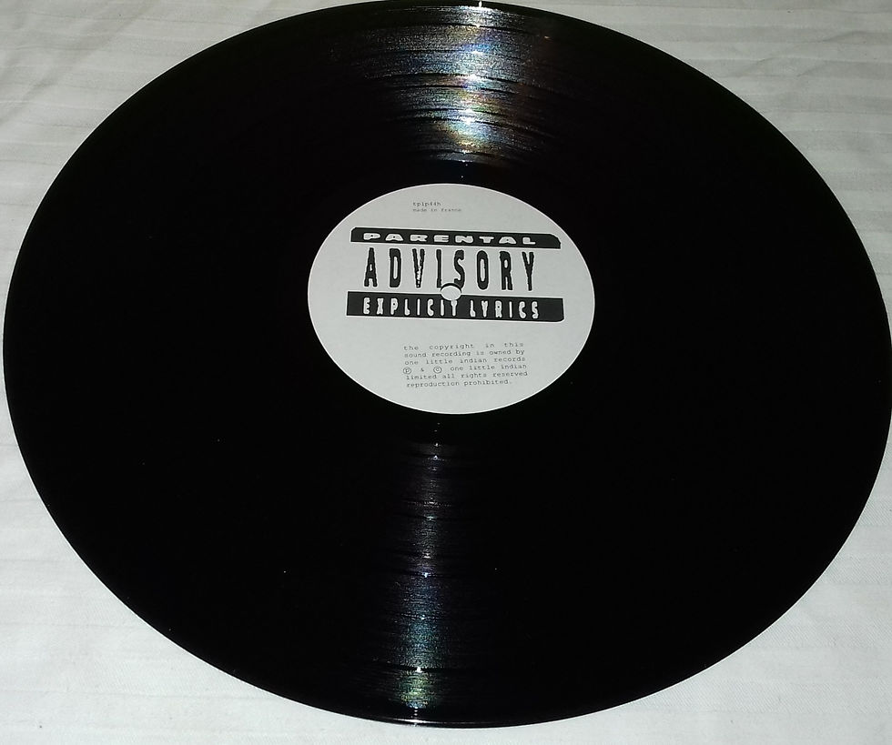 Miniature : Credit To The Nation - Take Dis (LP, Album) (One Little Indian)