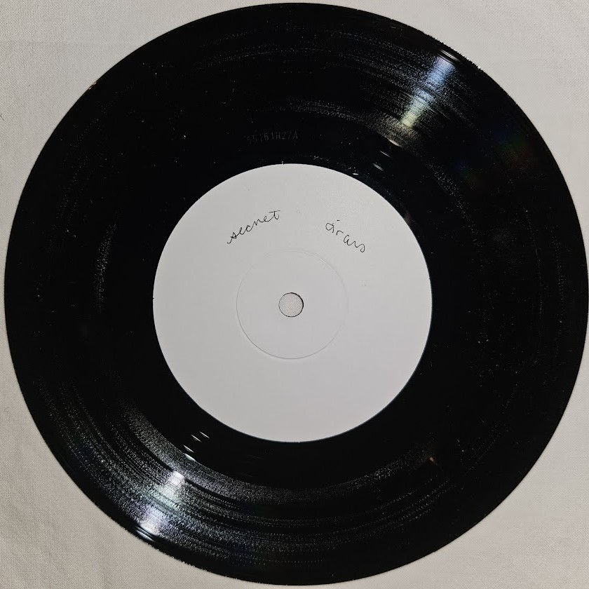 サムネイル： Emmy The Great - Secret Circus (7") (Fear And Records)