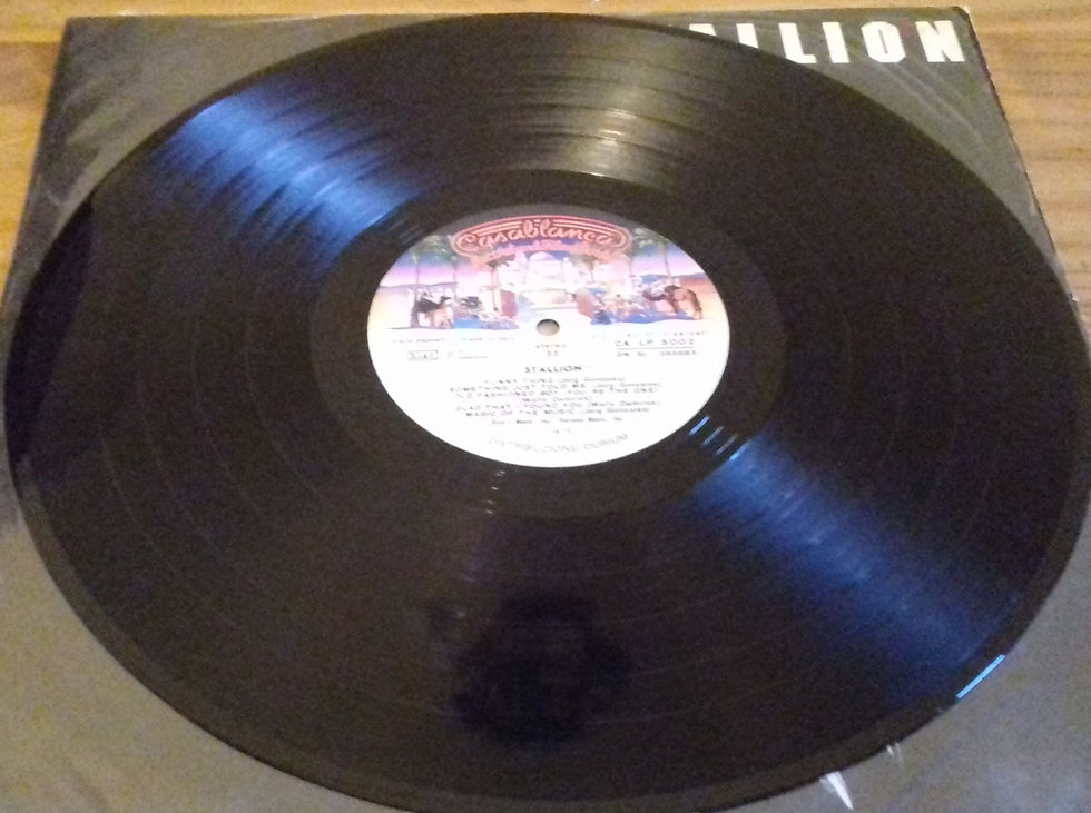 Miniatyrbild: Stallion  - Stallion (LP, Album) (Casablanca)