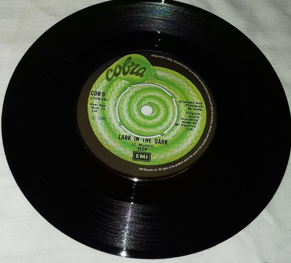 Miniatyrbild: Jeep - Wild Rover (7") (Cobra (3))