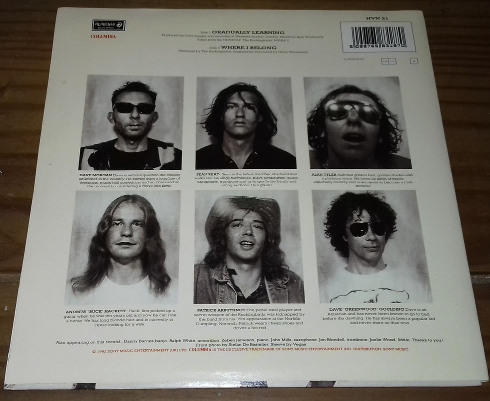 Miniaturbild: The Rockingbirds - Gradually Learning (7") (Heavenly)