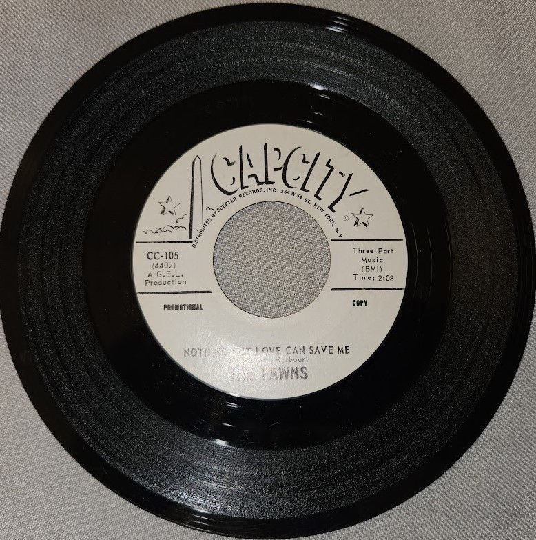 The Fawns - Wish You Were Here With Me (7", Promo) (Cap City)