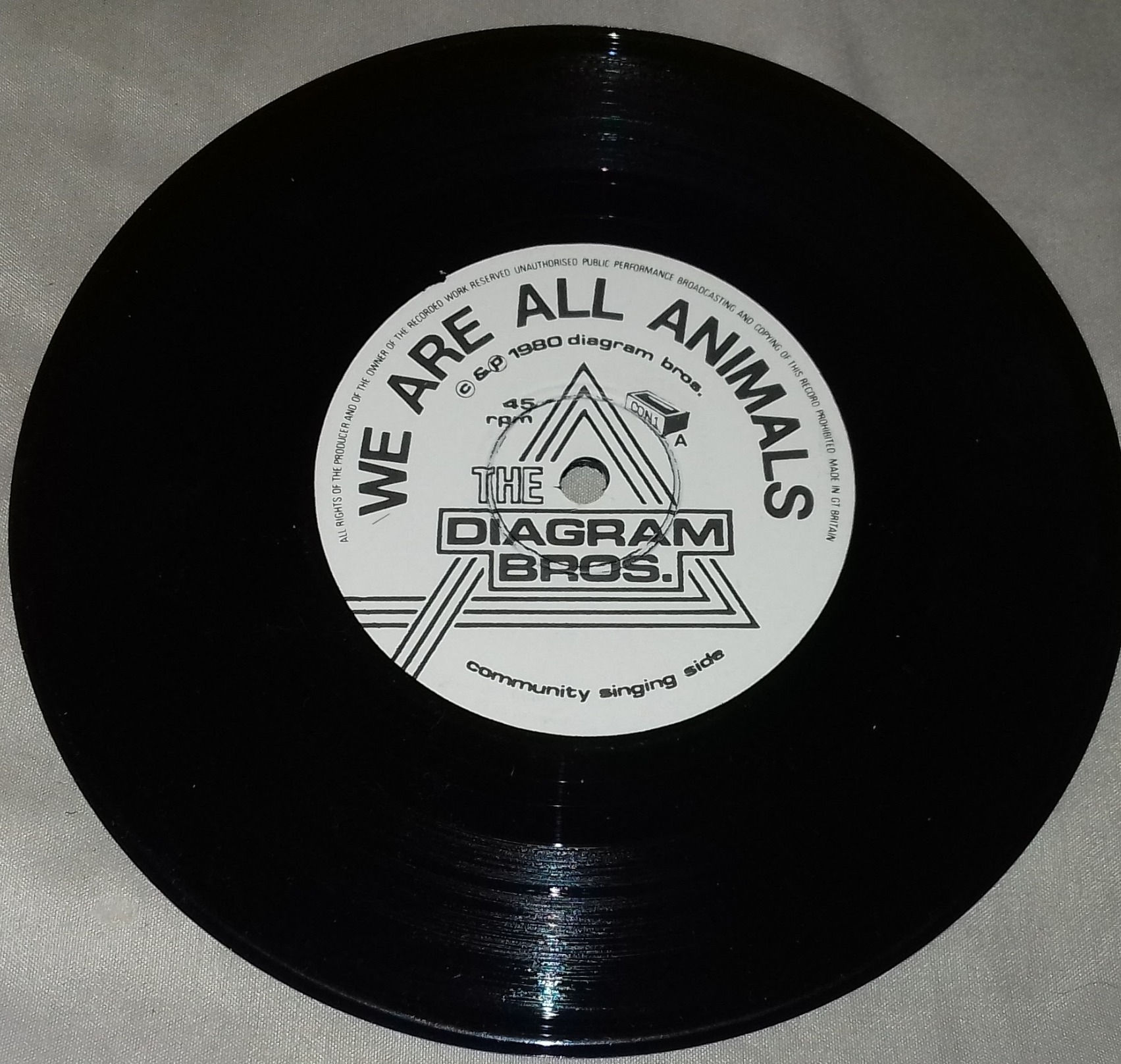 The Diagram Bros.* - We Are All Animals (7") (Construct Records (2))